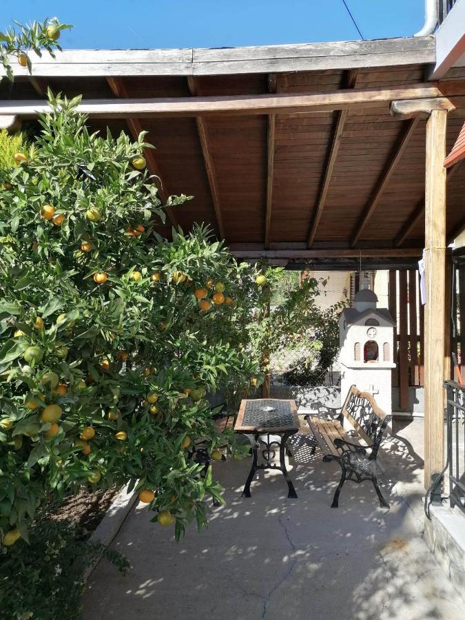 Cosy House Chalkidiki 300m From