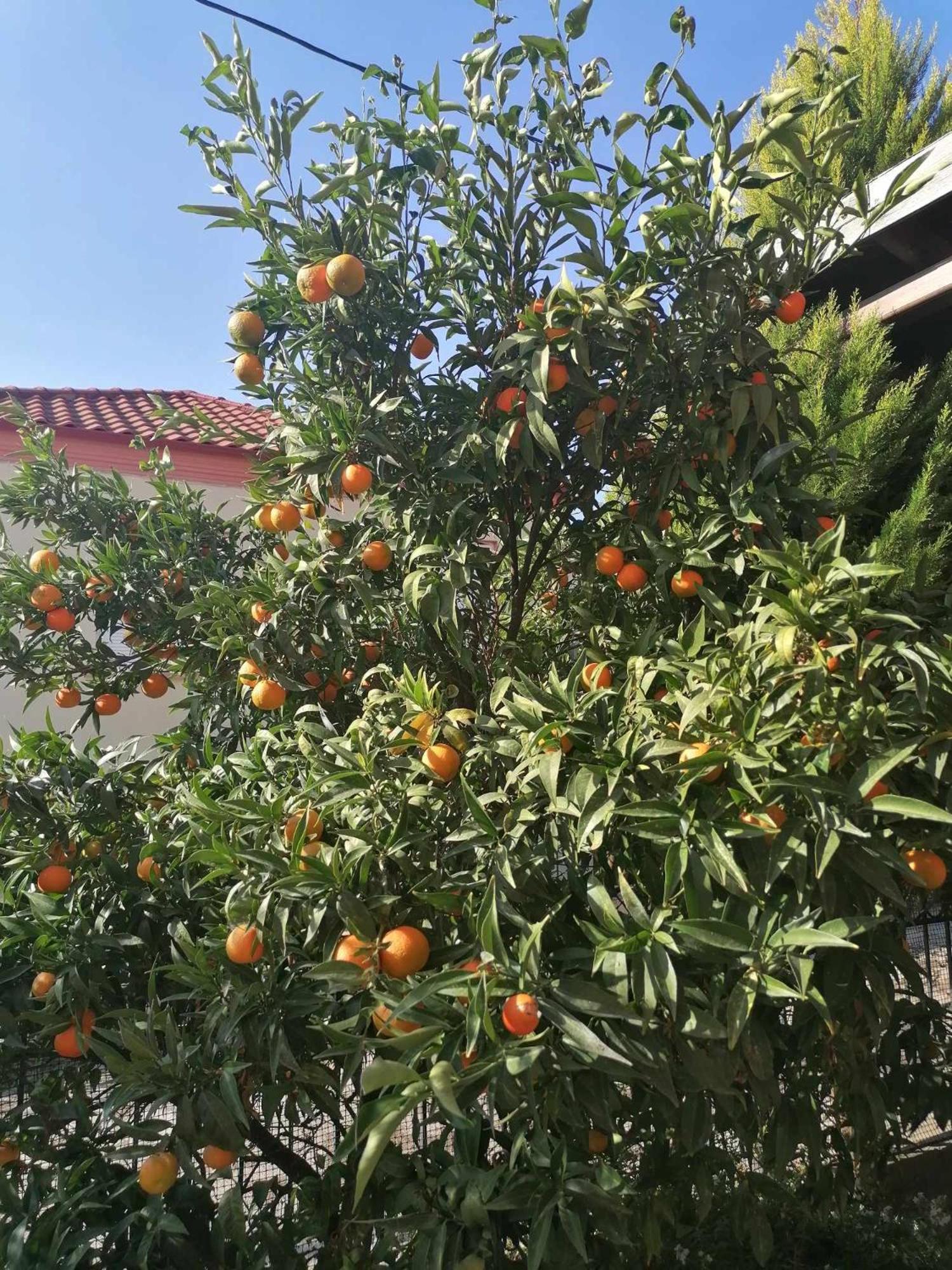 Holiday home Cosy House Chalkidiki 300m From *
