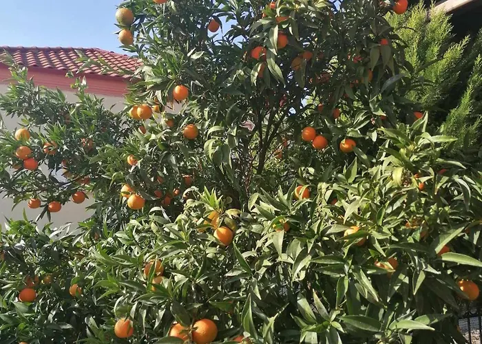 Cosy House Stratoni Chalkidiki 300M From Beach